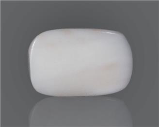 Natural White Coral  9.24 CTS (50249)